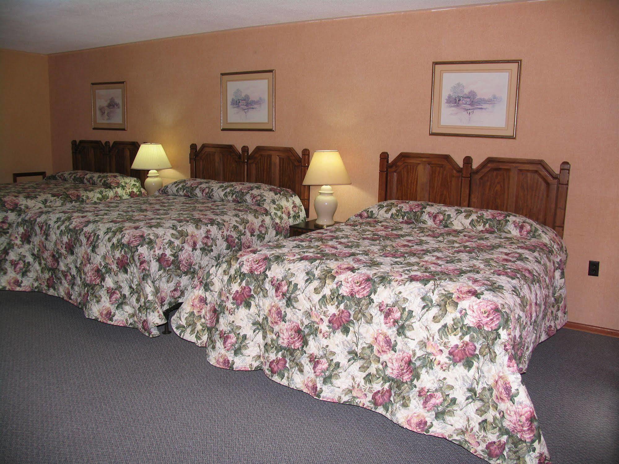 Seven Oakes Motel Kingston Eksteriør bilde