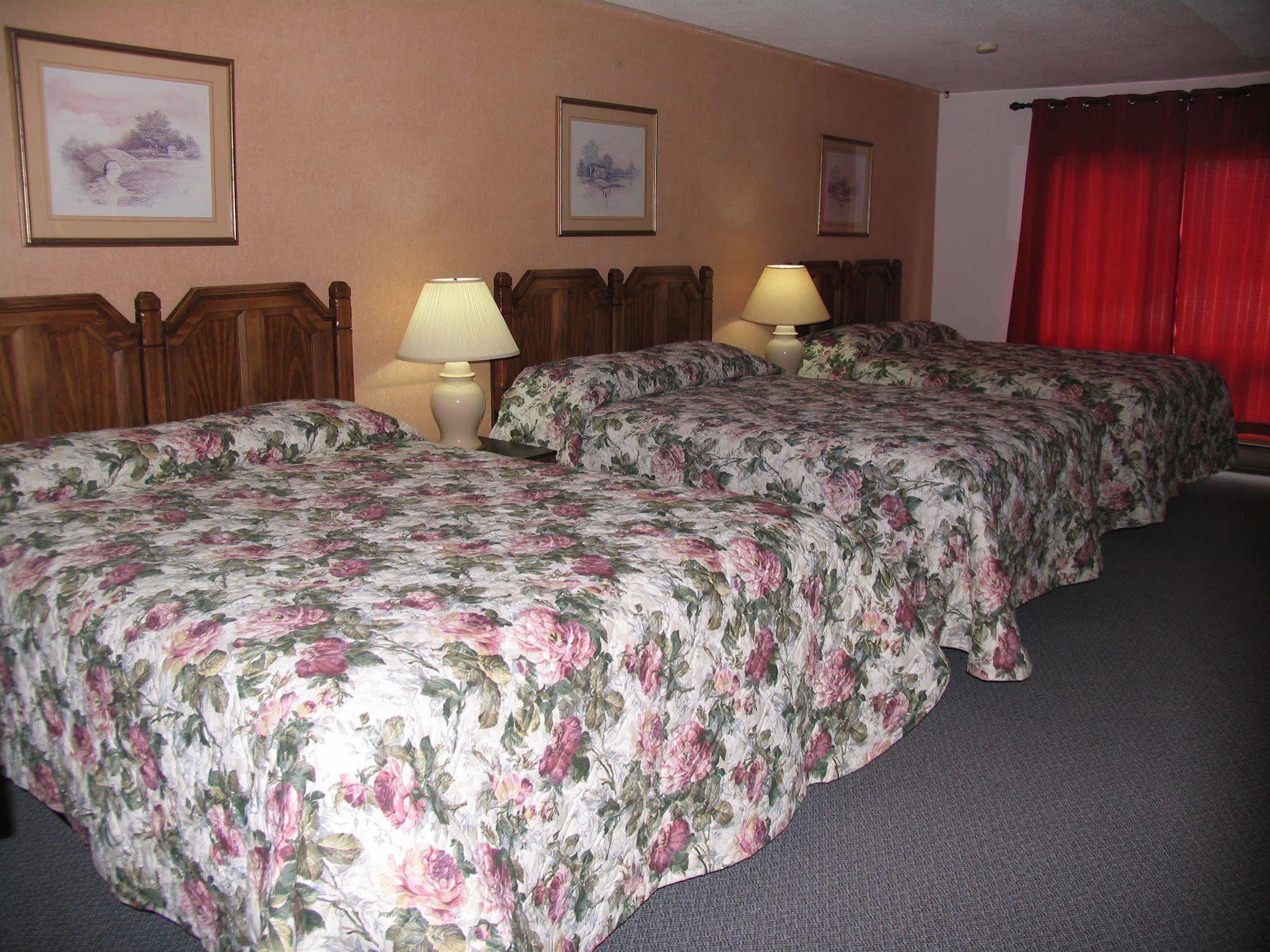 Seven Oakes Motel Kingston Eksteriør bilde
